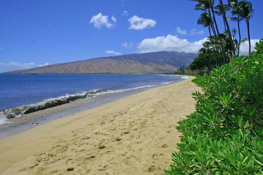 Kihei Beach, #404 Condo 0*,  United States